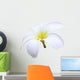 isolated white Plumeria Wall Decal