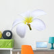 isolated white Plumeria Wall Decal