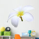 isolated white Plumeria Wall Decal