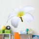 isolated white Plumeria Wall Decal