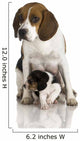 Beagle Dog Wall Decal