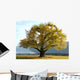 Lebensbaum Wall Decal
