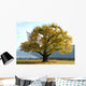 Lebensbaum Wall Decal