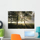 Misty Forest Morning Early Wall Decal