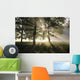 Misty Forest Morning Early Wall Decal