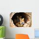 Twin Fox Hidden in a Hollow Log Wall Mural