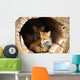 Twin Fox Hidden in a Hollow Log Wall Mural