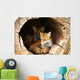 Twin Fox Hidden in a Hollow Log Wall Mural