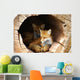 Twin Fox Hidden in a Hollow Log Wall Mural