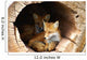 Twin Fox Hidden in a Hollow Log Wall Mural