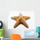 starfish Wall Mural