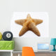 starfish Wall Mural