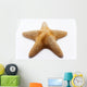 starfish Wall Mural