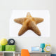 starfish Wall Mural