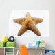 starfish Wall Mural