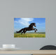 Beautiful Black Horse Playing on the Field Wall Mural