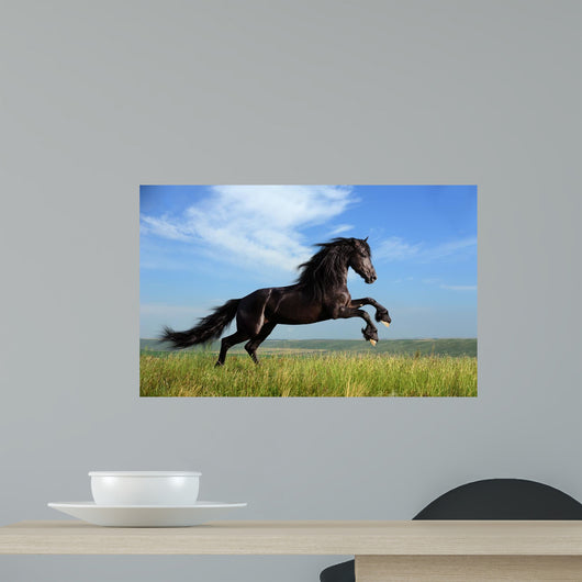 Beautiful Black Horse Playing on the Field Wall Mural