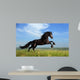 Beautiful Black Horse Playing on the Field Wall Mural