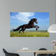 Beautiful Black Horse Playing on the Field Wall Mural