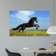 Beautiful Black Horse Playing on the Field Wall Mural