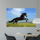 Beautiful Black Horse Playing on the Field Wall Mural