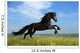 Beautiful Black Horse Playing on the Field Wall Mural