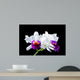 Cattleya Wall Mural