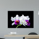 Cattleya Wall Mural