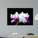 Cattleya Wall Mural