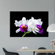 Cattleya Wall Mural
