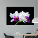 Cattleya Wall Mural