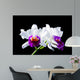 Cattleya Wall Mural