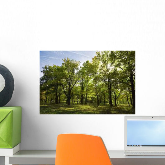 Grove Summer Wall Decal