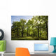 Grove Summer Wall Decal