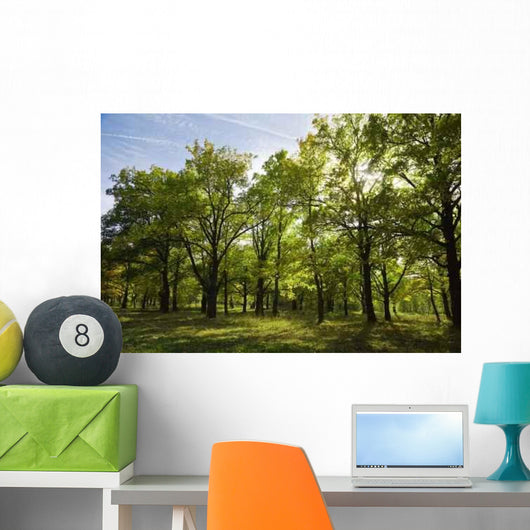 Grove Summer Wall Decal
