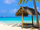 Swing Tropical Beach