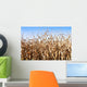 Campo Di Granoturco Wall Mural