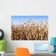 Campo Di Granoturco Wall Mural