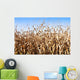 Campo Di Granoturco Wall Mural