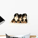 Bernese mountain 40 days Wall Decal
