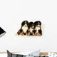 Bernese mountain 40 days Wall Decal