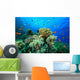 Tropical Coral Reef and Fish Wall Mural