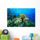 Tropical Coral Reef and Fish Wall Mural