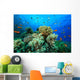 Tropical Coral Reef and Fish Wall Mural
