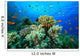 Tropical Coral Reef and Fish Wall Mural