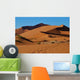 Dunes Du Namib Wall Decal