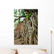 Historical Park Ayutthaya, Thailand Wall Mural