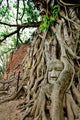 Historical Park Ayutthaya, Thailand Wall Mural
