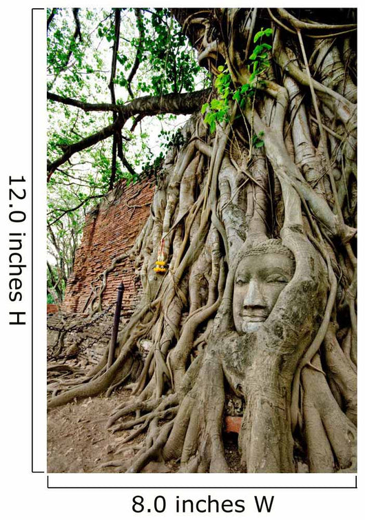 Historical Park Ayutthaya, Thailand Wall Mural