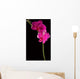 Pink Orchid Wall Mural
